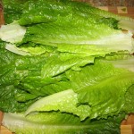 Wash and dry the lettuce, whether Romaine or Iceburg.