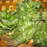 Wash, remove leaves from stems and gently dry purslane.