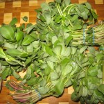 Wash, remove leaves from stems and gently dry purslane.