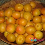 Fresh apricots, washed, pitted and sliced in half.