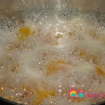 Boil the apricots for 10 minutes. The apricots will break apart if you overcook them.