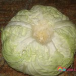 Remove the core of the cabbage using a pairing knife.