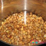 Place fava beans in a large pot and enough water to cover the beans by about 2 inches.
