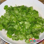 Washed cilantro leaves, with stems removed.