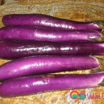 Japanese eggplants