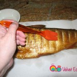 Coat the fish with white vinegar.