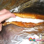 Place the fish on a baking sheet and stuff the paper towel in the inner cavity. Cover with foil and bake.