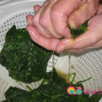 When the spinach is cool enough to handle, squeeze out the juice.