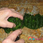 Coarsely chop the spinach about 1/2 inch thick.