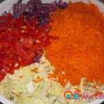Add the shredded carrots and red bell peppers to the shredded cabbages.