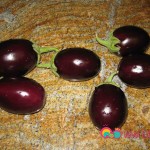 These are Indian Eggplants, but any small sized eggplant would work as as well.