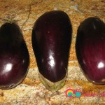 Wash 3 large eggplants.