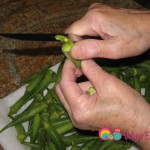 Gently remove the tip using a sharp knife.